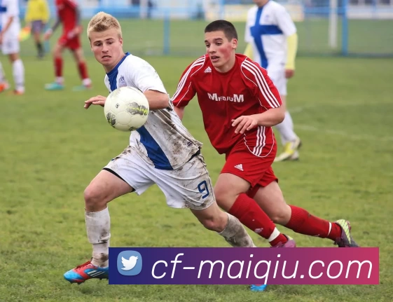 买球赛事预测发展历程